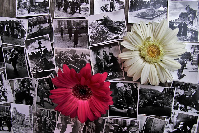 privacyverklaring privacyverklaring